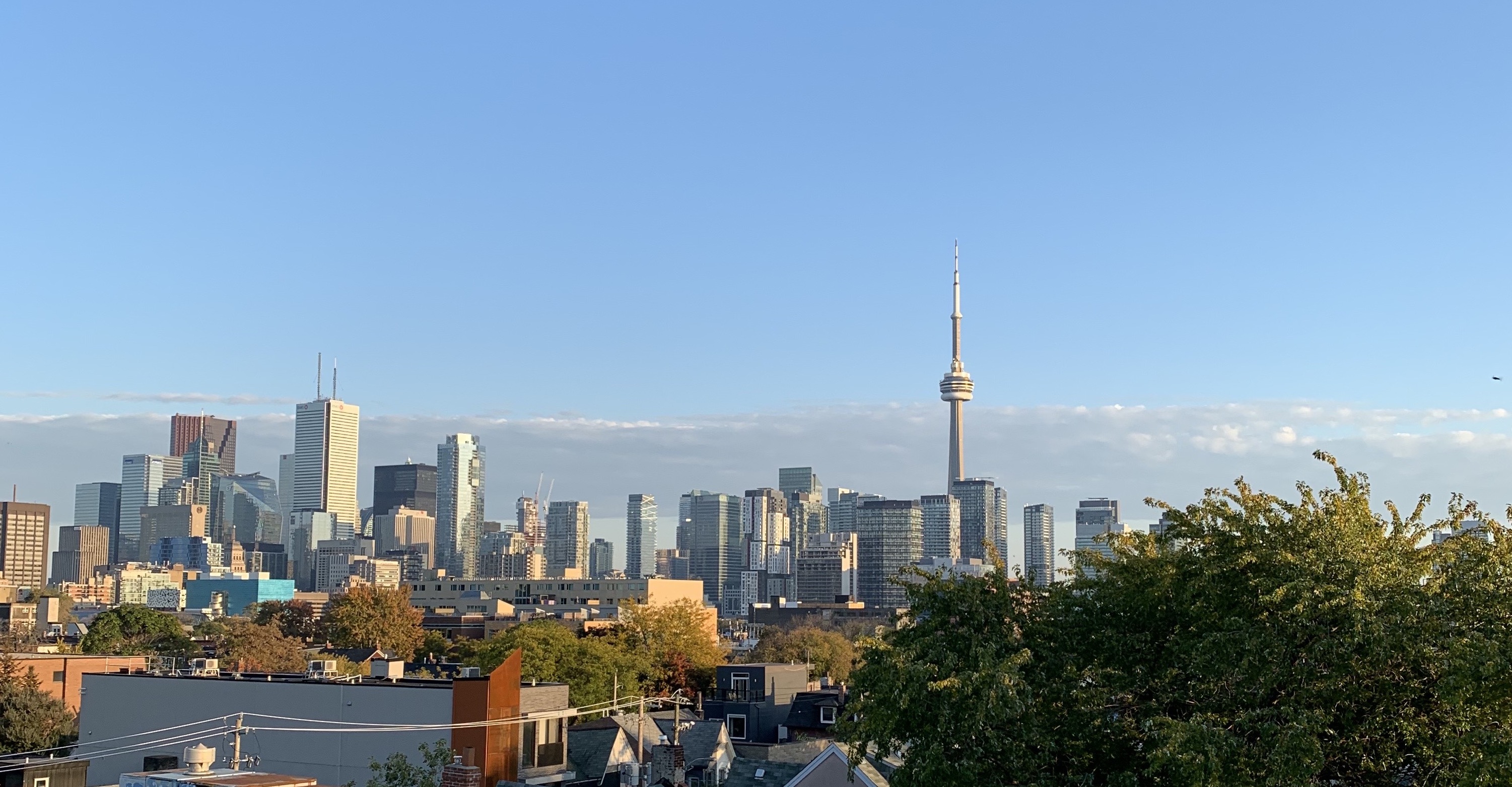 view of the toronto skyline